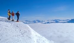 - Ski Safari�s West-Canada